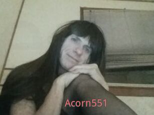 Acorn551