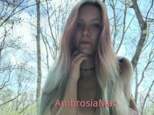 AmbrosiaMae