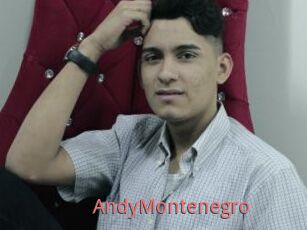 AndyMontenegro