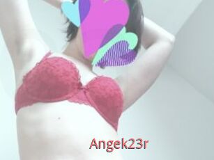 Angek23r