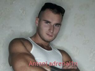 Antoni_adrenal1n