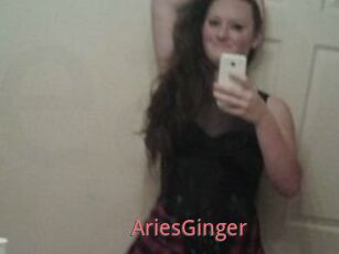 AriesGinger