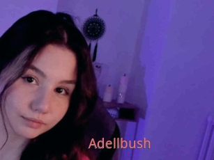 Adellbush