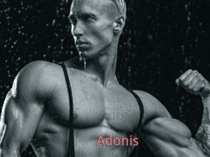 Adonis