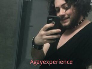 Agayexperience