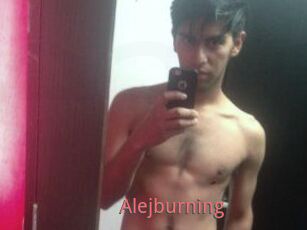 Alejburning