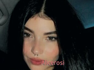 Alicerosi