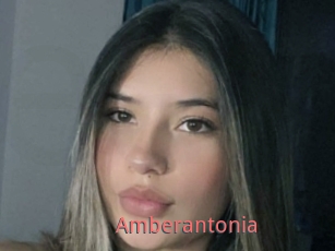 Amberantonia