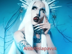 Ambrosiapavuk