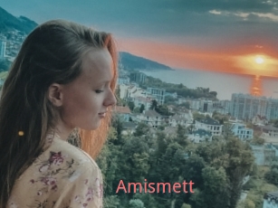 Amismett