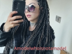 Amodelwhoisnotamodel