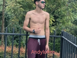 Andylukee