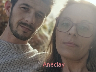 Aneclay