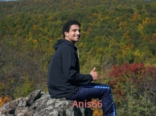 Anis66