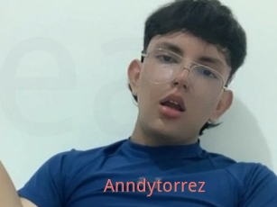 Anndytorrez