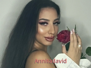 Annitadavid