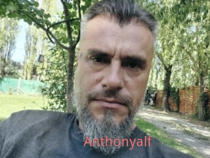 Anthonyalf