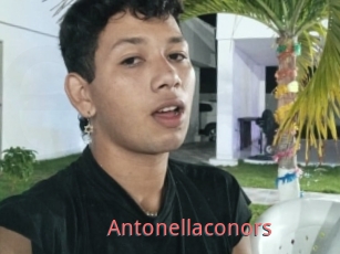 Antonellaconors