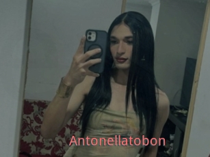 Antonellatobon