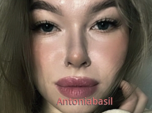 Antoniabasil