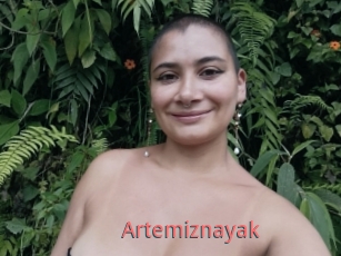 Artemiznayak