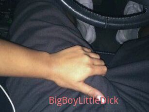 BigBoyLittleDick