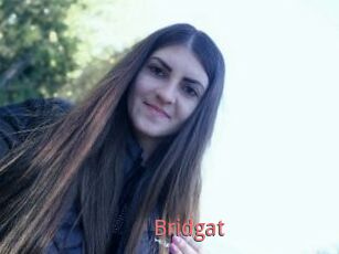 Bridgat