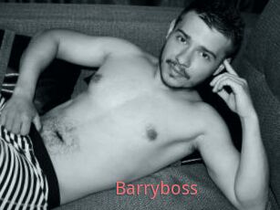 Barryboss