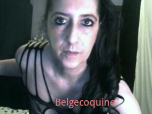 Belgecoquine