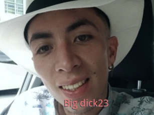 Big_dick23