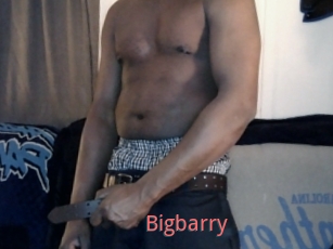 Bigbarry