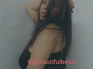 Bigbeautifulbeast