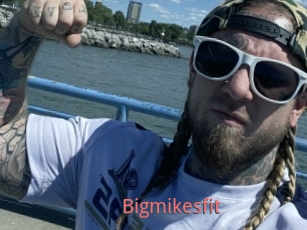 Bigmikesfit