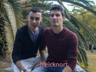 Bleicknort