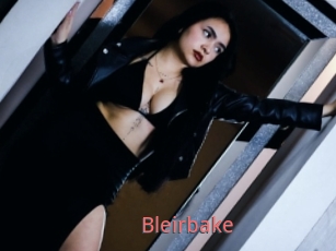 Bleirbake