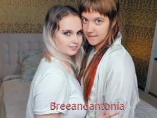 Breeandantonia