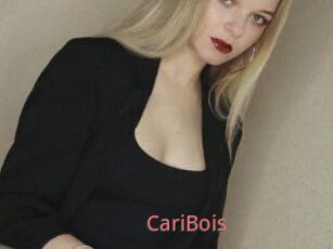 CariBois