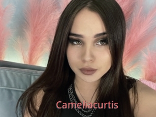 Cameliacurtis