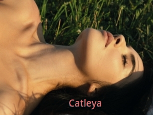 Catleya