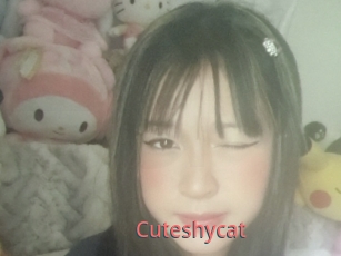 Cuteshycat