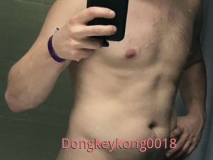 Dongkeykong0018