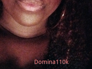 Domina110k