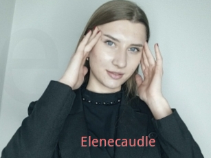 Elenecaudle