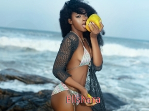 Elishara