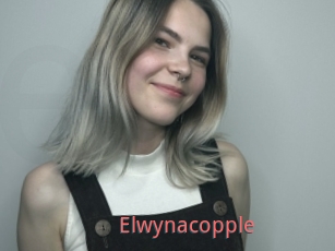 Elwynacopple