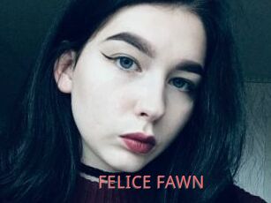 FELICE_FAWN