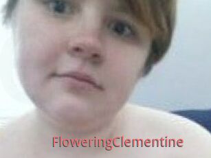 FloweringClementine