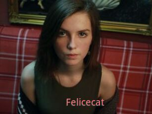 Felicecat