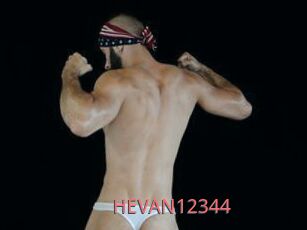 HEVAN12344