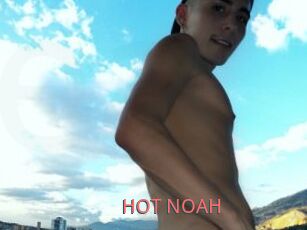 HOT_NOAH